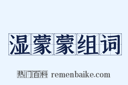 湿蒙蒙组词是什么意思的图片